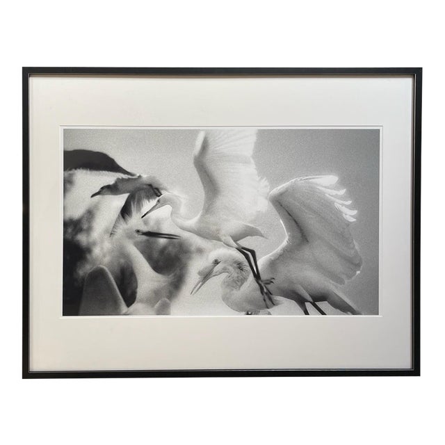 Large Scale Photo Print by Rosalie Winard For Sale