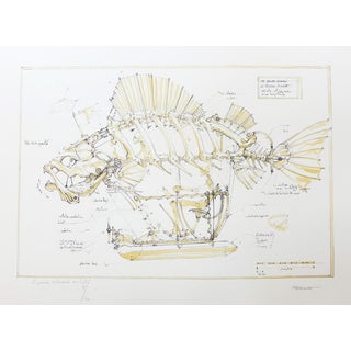 François Delaroziere, Pirate Fish, 2008, Lithograph For Sale