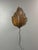 Brutalist Dutch Ceramic Leaf Wall Sconces, 1980s, Set of 2 For Sale - Image 17 of 18