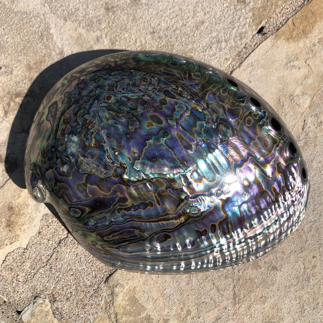 Nautical Natural Iridescent Reverse Polished Abalone SeaShell Bowl
