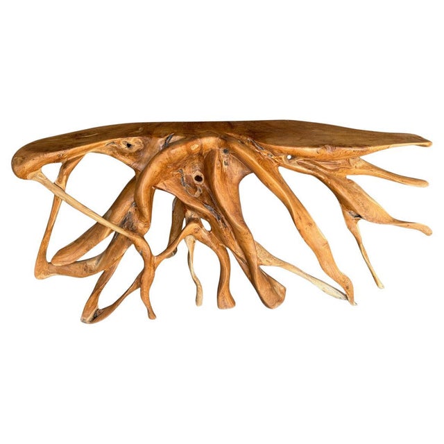 Impressive one of a kind sculptural console table made from a beautiful century old teak root. Fabulous on both sides....