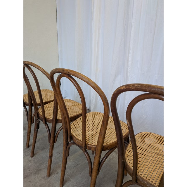 Vintage Dining Chairs with Bentwood Cane Seat, 1970s, Set of 4 For Sale - Image 15 of 18