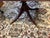 Late 20th Century 20th Century Maitland-Smith Regency Style Mahogay Double Pedestal Dining Table For Sale - Image 5 of 12