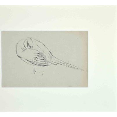 Sleeping Bird is an original pencile and pen drawing realized by Eugène Juillerat (1856 - 1925) in 1920. Good condition on...