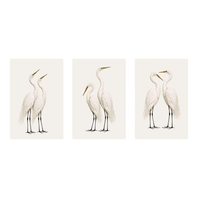 Crane Studies 1 - 3, Neutral Coastal Bird Art Triptych, 32" X 48" For Sale