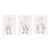 Crane Studies 1 - 3, Neutral Coastal Bird Art Triptych, 32" X 48" For Sale