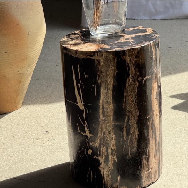 Side Table in Black Petrified Wood with Beige Striations and a Circular Arc For Sale - Image 10 of 18