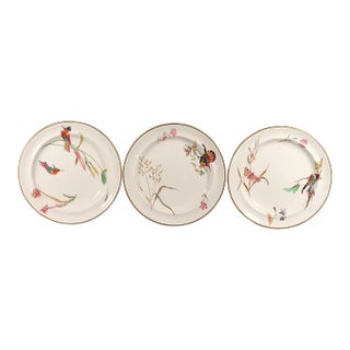 Wedgwood Creamware Hummingbird Butterfly & Flowers Pattern, No. 7961 For Sale