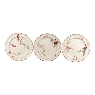 Wedgwood Creamware Hummingbird, Butterfly and Flowers Plates, Pattern No. 7961, Set of Three Etruria, Staffordshire, Dated 1868 For Sale