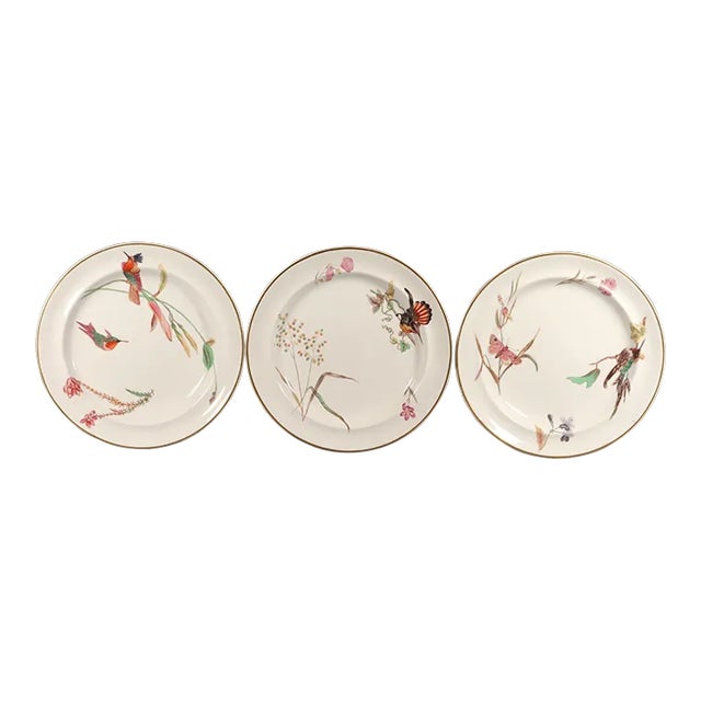Wedgwood Creamware Hummingbird, Butterfly and Flowers Plates, Pattern No. 7961, Set of Three Etruria, Staffordshire, Dated 1868 For Sale