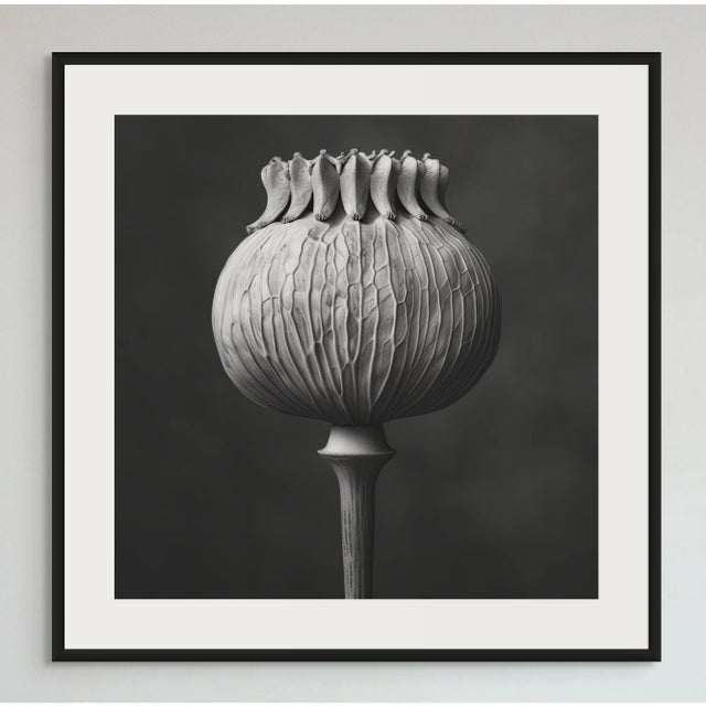 Wood 'Poppy Pod Head' No. 4 - Black and White Botanical Floral Photography Print / Karl Blossfeldt For Sale - Image 7 of 8