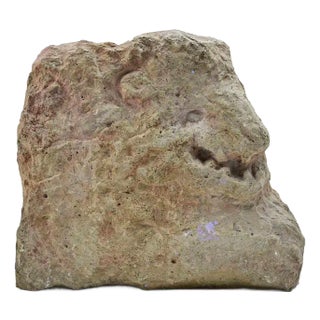 Sirio Pellegrini, Head of Animal Sculpture, 1960s, Stone For Sale