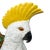 A William Brownfield Majolica Pitcher Modeled as a Cockatoo, English, Dated 1877 For Sale - Image 6 of 18
