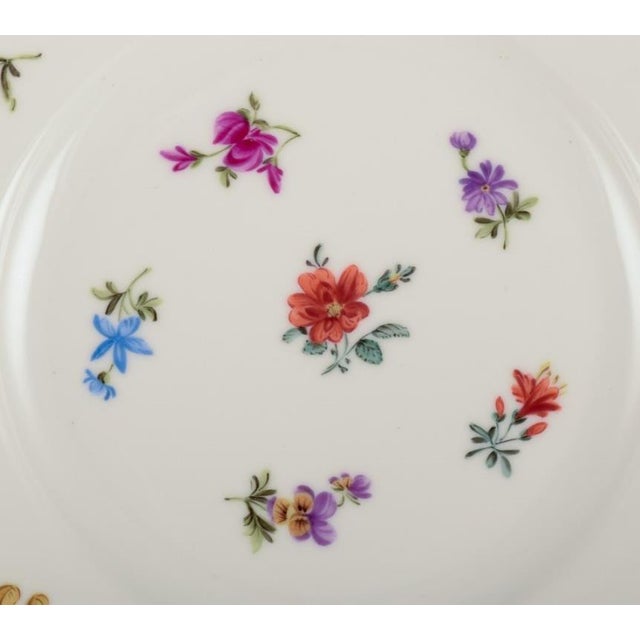 Small German Porcelain Lunch Plates from Silesia, 1930, Set of 6 For Sale - Image 6 of 10