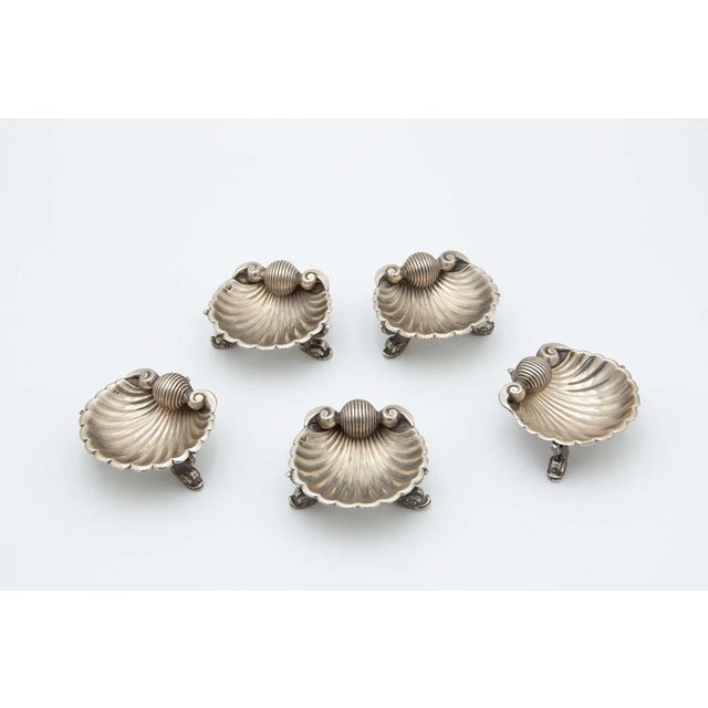 Silver Shell-Shaped Ring Sets, Set of 5 For Sale - Image 5 of 5