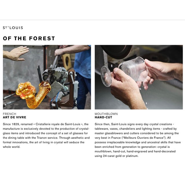 Saint-Louis Crystal Champagne Glasses For Sale - Image 11 of 12