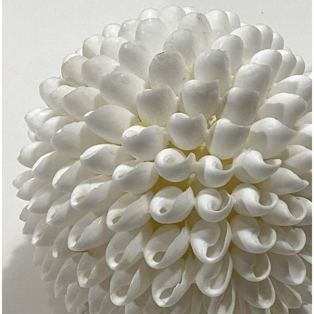 Shell 1997 Sea Shell Decorative Ball, White For Sale - Image 7 of 8