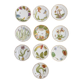 Late 20th Century Set of 10 Anna Weatherley Dinner Plates From the "Mid Summer" & "Flowers of Yesterday " Pattern 10.25" For Sale