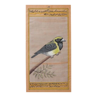 Late 20th Century Mughal Style Miniature Goldfinch Bird Painting For Sale