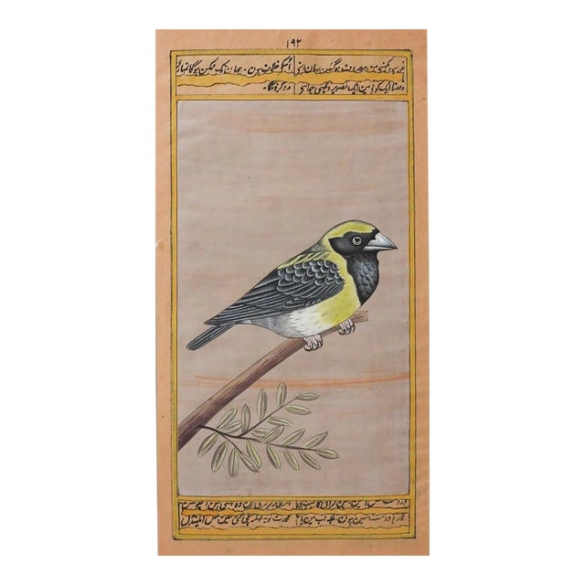 Late 20th Century Mughal Style Miniature Goldfinch Bird Painting For Sale