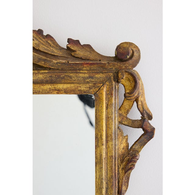 Rococo Italian Carved Giltwood Mirror With Acanthus Pediment, 19th Century For Sale - Image 3 of 12