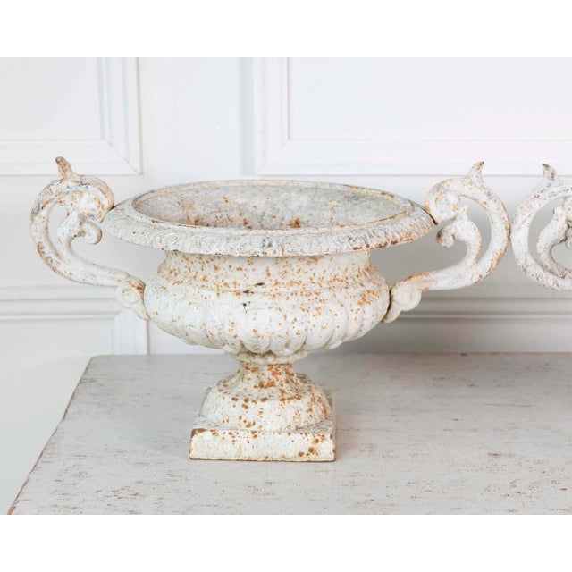 Pair of English 19th Century Cast-Iron Garden Urns For Sale - Image 4 of 13