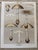 Set of 3 19th Century Chromolithographic Mushroom Prints For Sale - Image 4 of 8