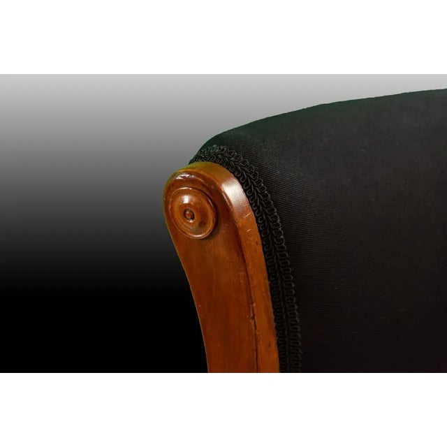 Wood 19th Century Biedermeier Lounge Chair For Sale - Image 7 of 8