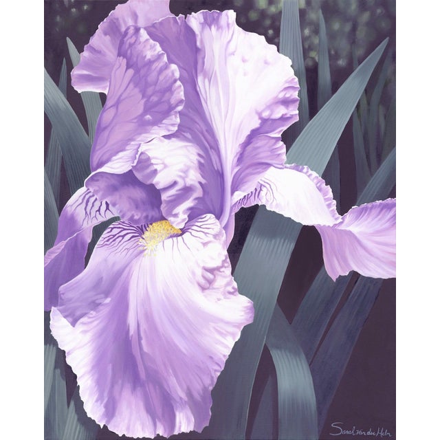 Iris II by Sarah van der Helm | Oil Painting of a purple iris flower For Sale