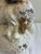 Cream Vintage Crackle Glaze Ceramic Cherub Statue For Sale - Image 8 of 12