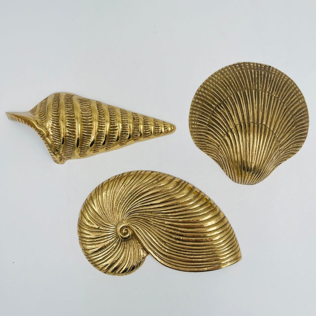 Mid 20th Century Brass Sea Shells Wall Hangings or Tabletop Décor - Set of 3 For Sale - Image 14 of 14
