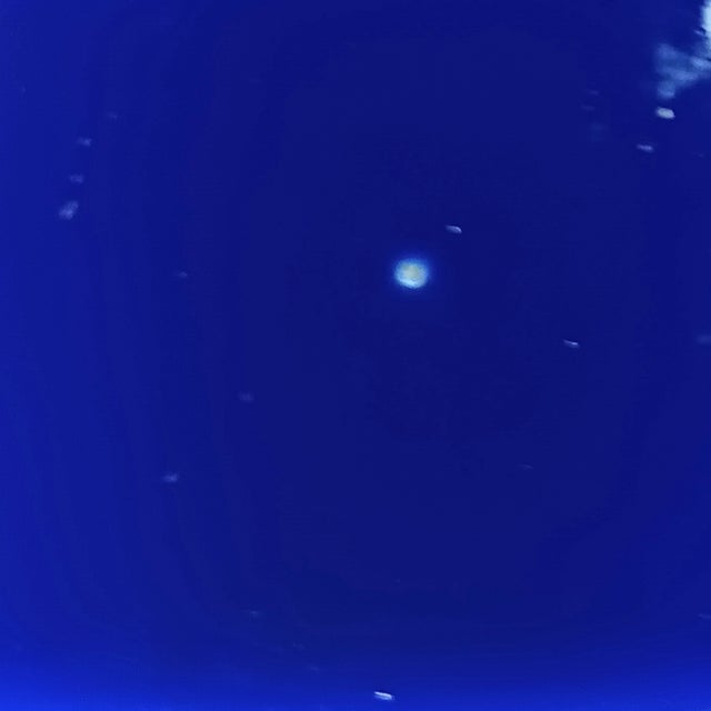 Set of Three (3) Vintage Cobalt Blue Ceramic Canisters Raised Fruit Grape Design For Sale - Image 9 of 14