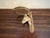 Vintage Cast Brass Horse Head and Horseshoe Door Knocker For Sale - Image 9 of 10