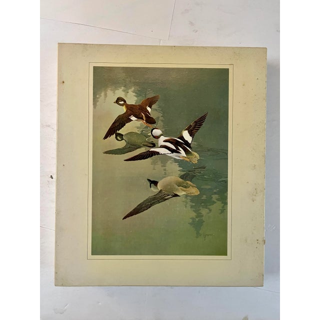 Francis Lee Jacques: Artist of the Wilderness World, 1973, 1st Edition, Slipcase For Sale - Image 9 of 9