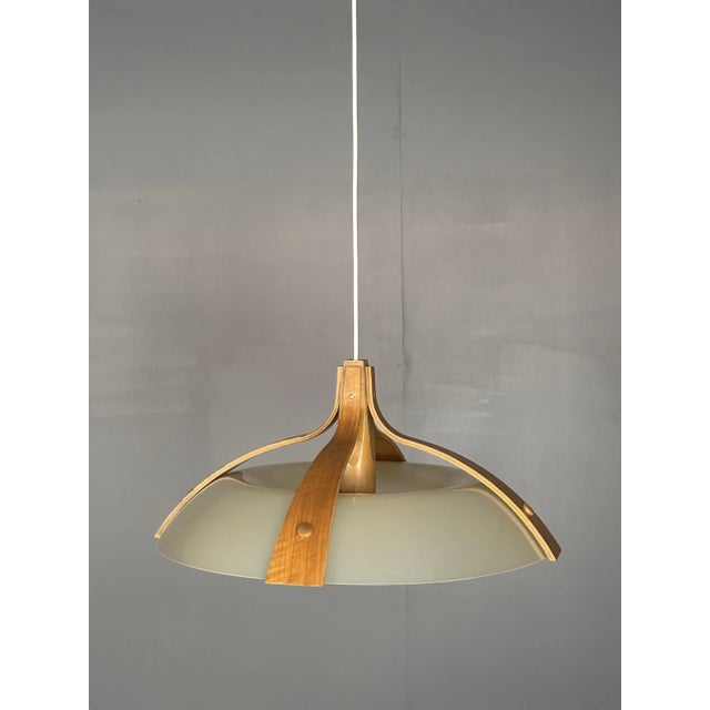 Mid-Century Space Age Layered Walnut Model 328 Pendants from Temde, 1960s, Set of 2 For Sale - Image 6 of 18