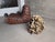 Large Organic Sculpture in Glazed Stoneware with Coral Forms, 2002 For Sale - Image 11 of 16