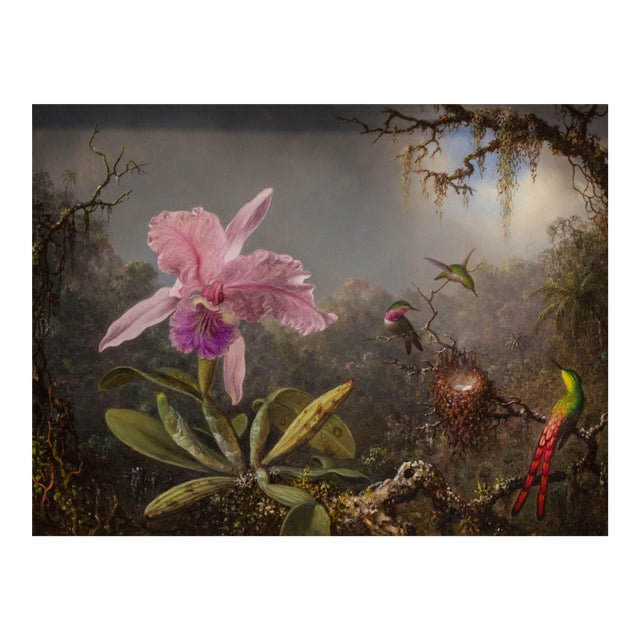 1871 Vintage Hummingbird and Orchid Tropical Art Print by Martin Johnson Heade - 12" X 8" For Sale