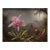 1871 Vintage Hummingbird and Orchid Tropical Art Print by Martin Johnson Heade - 12" X 8" For Sale