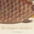 English The Triangular Trunk Fish by Sir Charles Linnaeus & Ebenezer Sibley, 1806 For Sale - Image 3 of 8