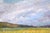 Paper Purple Clouds Above Cornfields on the Farm - Landscape in Oil on Masonite For Sale - Image 7 of 10