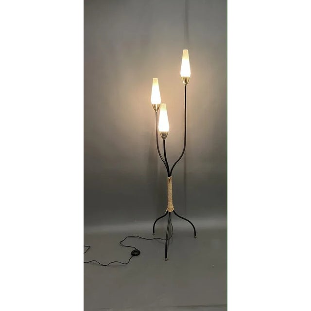 Mid-Century Modern Floor Lamp from Maison Lunel, France, 1950s For Sale - Image 3 of 12