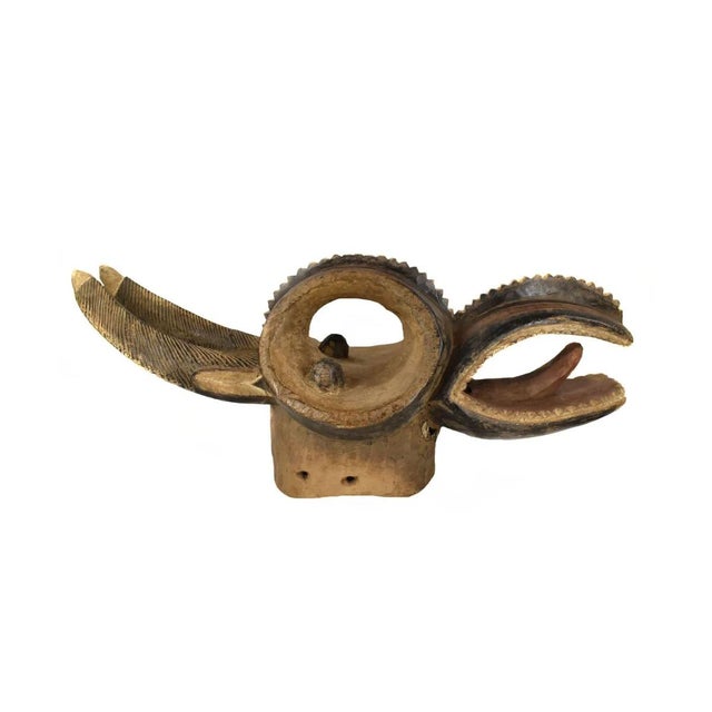 An impressive Senufo Firespitter Helmet Mask. This large wooden piece measures 35 inches in length with two carved horns...