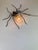 Mid-Century Modern Spider Wall Lamp, 1960s For Sale - Image 14 of 18