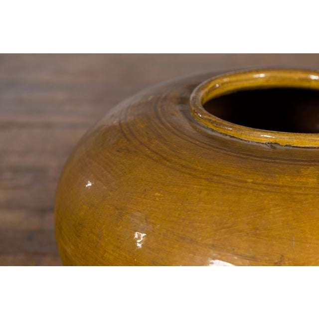 Chinese Vintage Porcelain Low Squat Planter with Yellow Mustard Glaze For Sale - Image 10 of 12