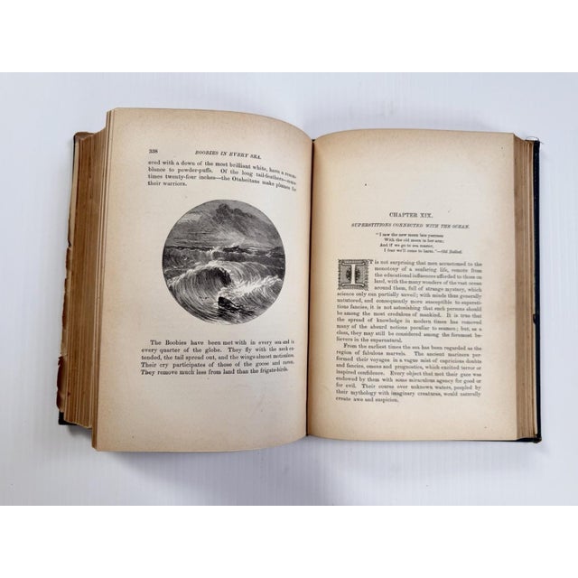 1884 the Water World by J W Van Dervoort Illustrated Book About Sea Life, Ghost Ships For Sale - Image 14 of 17