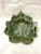 Farmhouse Vintage Green Ceramic Leaf Plates -A Set For Sale - Image 3 of 5