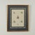 Beige Set of Eight Antique Hand Colored Seashell Prints For Sale - Image 8 of 18