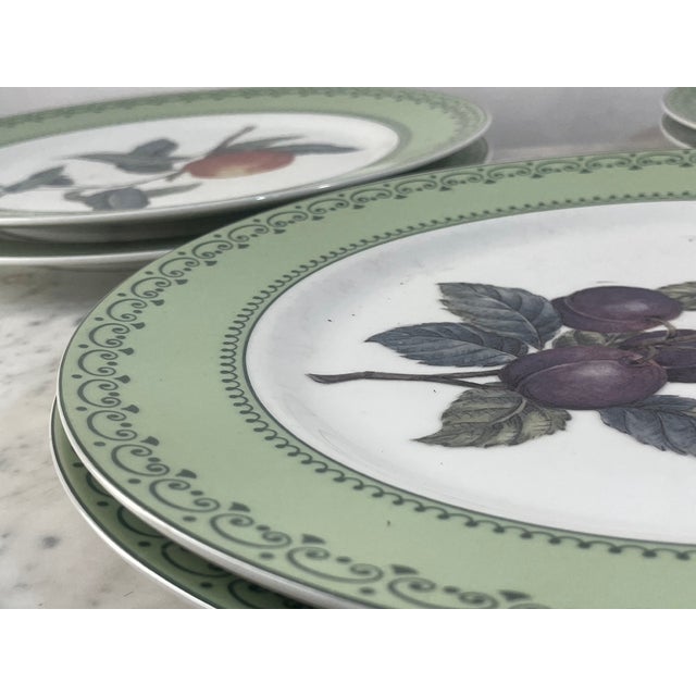 1980s Andrea by Sadek Winterthur Adaptation Botanical Dinner Plates – Set of 14 For Sale - Image 12 of 13