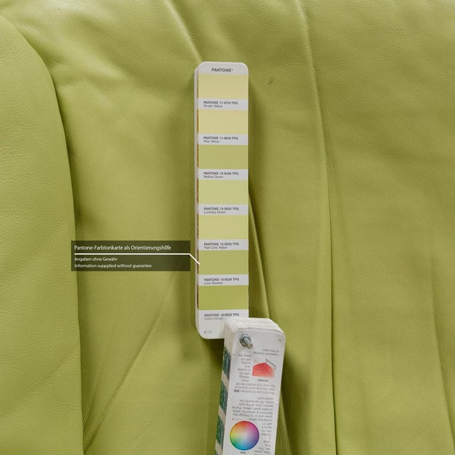 Divani Leather Armchair from Nieri For Sale - Image 6 of 13