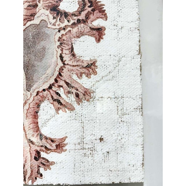 2020s Lace Murex — Hand Textured Pink Seashell Art For Sale - Image 5 of 9